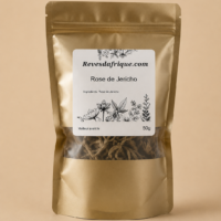 Rose de Jericho